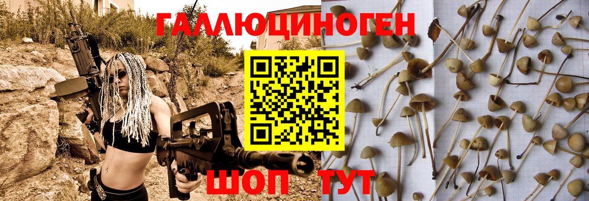 Кумертау  Галлюциногенные грибы мухоморы  хочу   Галлюциногенные грибы мухоморы  Вход с VPN 